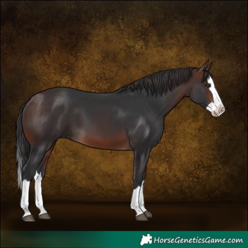 Horse Color:Brown Splash 