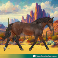 Horse Color:Bay 