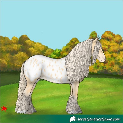 Horse Color:Palomino Dun Appaloosa