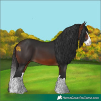 Horse Color:Brown Splash