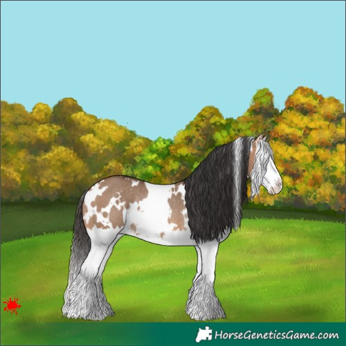 Horse Color:White Spotted Bay Dun Splash Rabicano 