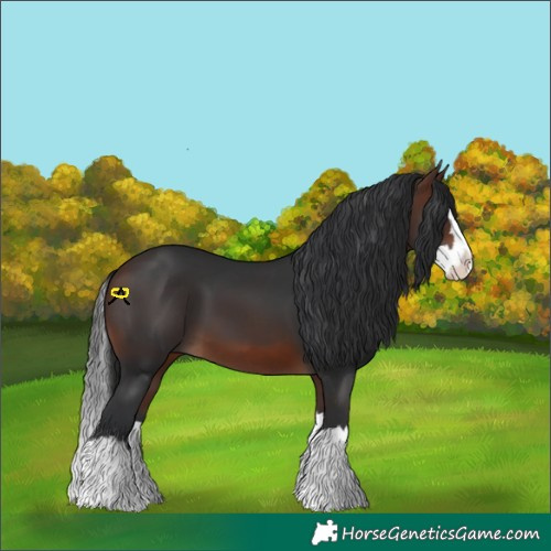 Horse Color:Brown Splash 
