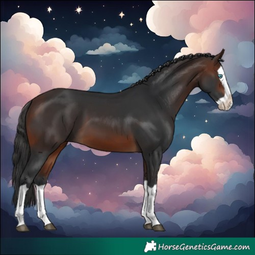 Horse Color:Brown Splash