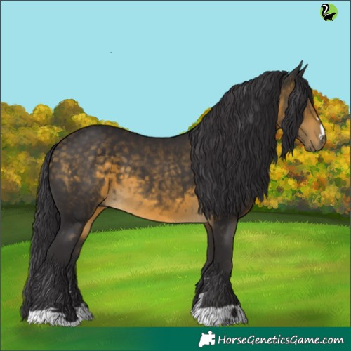 Horse Color:Buckskin 