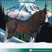 Horse Color:Brown Splash 