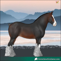 Horse Color:Brown Splash 