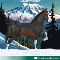 Horse Color:Brown Splash