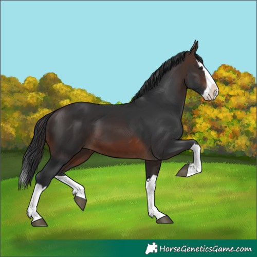 Horse Color:Brown Splash