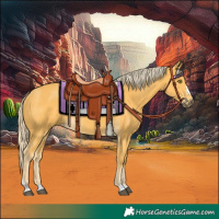 Horse Color:Palomino 