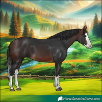 Horse Color:Brown Splash 