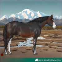 Horse Color:Bay Sabino