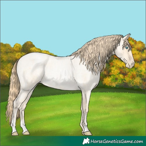 Horse Color:Buckskin Roan Pearl  and Buckskin Roan Pearl Rabicano 