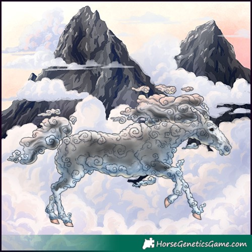 Horse Color:Black Splash 