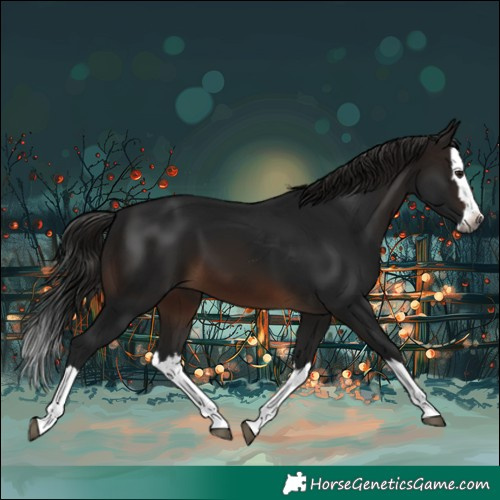Horse Color:Gray Brown Splash 
