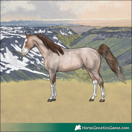 Horse Color:Brown Roan Pearl Mushroom Splash