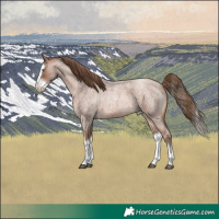 Horse Color:Brown Roan Pearl Mushroom Splash 