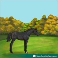 Horse Color:Brown 