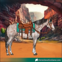 Horse Color:Bay Sabino Rabicano and Bay Roan Sabino Rabicano