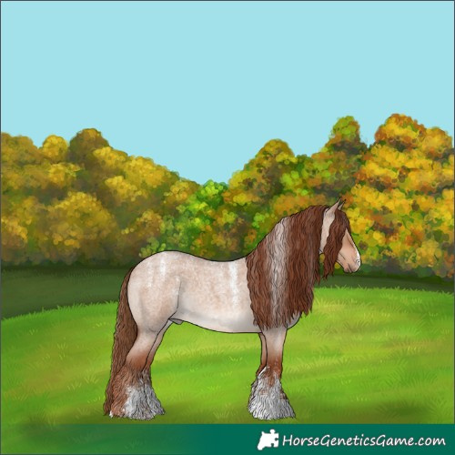 Horse Color:Powder White Red Dun Roan 