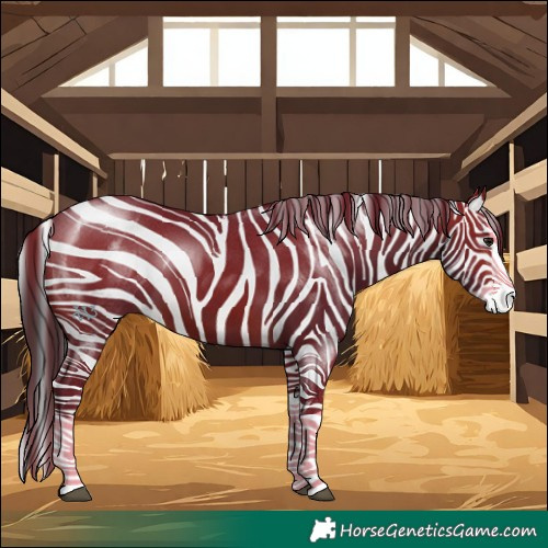 Horse Color:Brown Splash