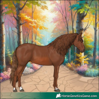 Horse Color:Chestnut 
