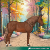 Horse Color:Chestnut 