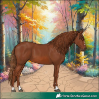 Horse Color:Chestnut 