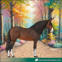 Horse Color:Bay 
