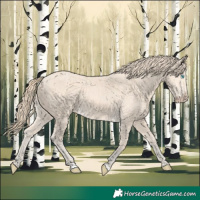 Horse Color:Perlino 