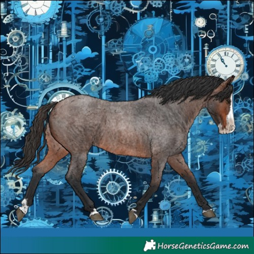 Horse Color:Brown Roan Splash