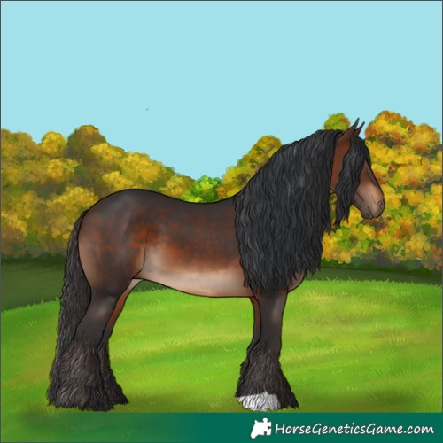 Horse Color:Brown 