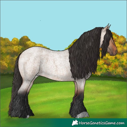 Horse Color:Bay Roan Dun