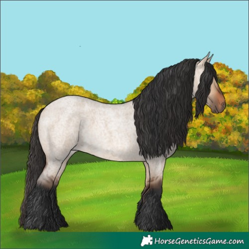 Horse Color:Bay Roan Dun 