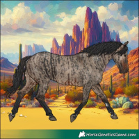 Horse Color:Brown Rabicano  and Brown Dun Rabicano 