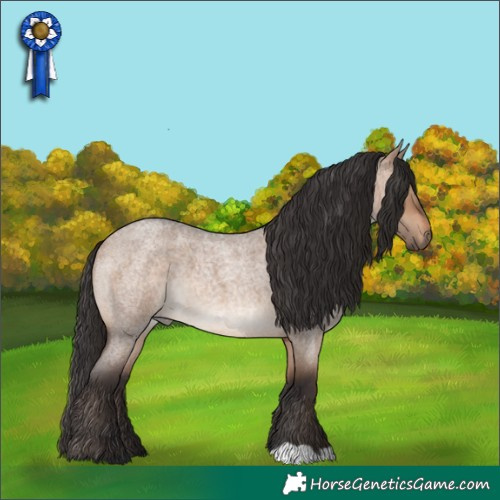 Horse Color:Brown Roan Dun 