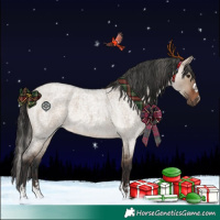 Horse Color:Silver Brown Roan Dun and Brown Roan Dun