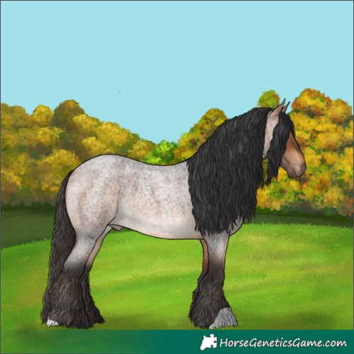 Horse Color:Bay Roan 