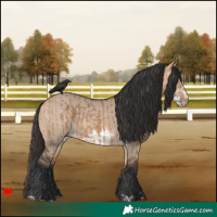 Horse Color:Bay Dun and Bay Dun Frame