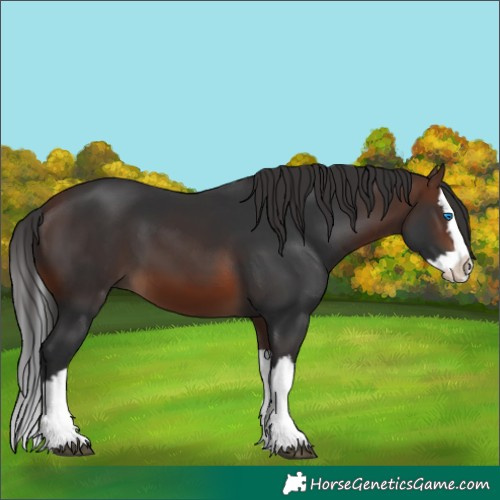 Horse Color:Brown Splash