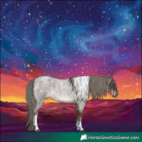 Horse Color:Liver Red Roan Mushroom Tobiano