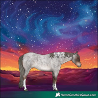 Horse Color:Liver Red Roan Mushroom Tobiano 