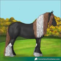 Horse Color:Liver Chestnut Tobiano 