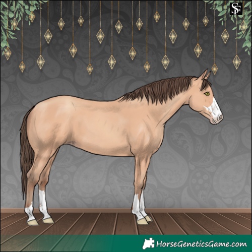 Horse Color:Amber Champagne 
