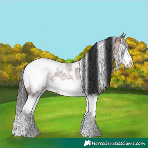 Horse Color:White Spotted Bay Roan Splash Frame Snowcap