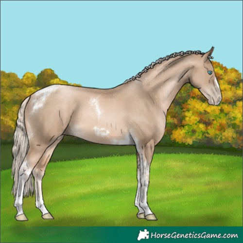 Horse Color:Chocolate Palomino Pearl Tobiano Frame  and Chocolate Palomino Pearl Tobiano Frame 