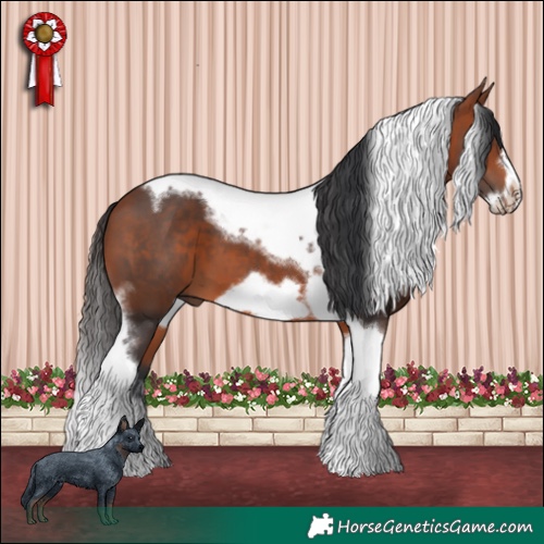 Horse Color:Bay Tobiano Frame 