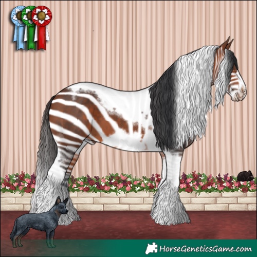 Horse Color:Bay Tobiano Frame 