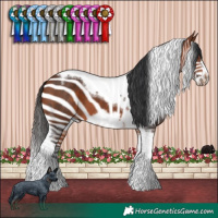 Horse Color:Bay Tobiano Frame