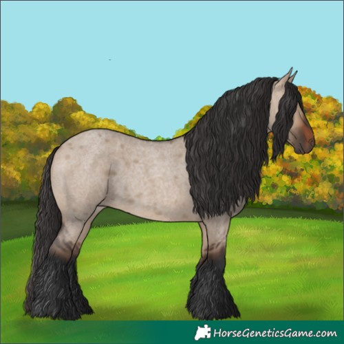 Horse Color:Brown Roan Dun 