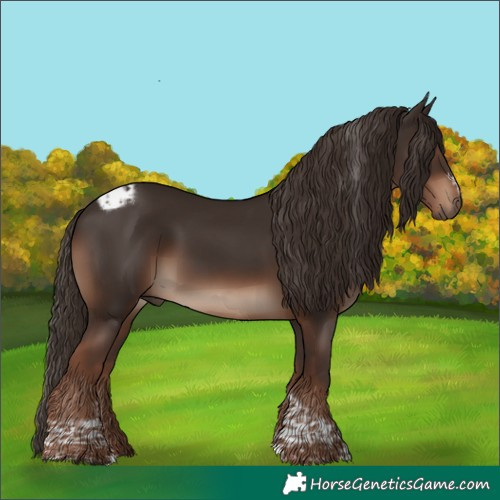 Horse Color:Liver Chestnut Tobiano Frame Rabicano